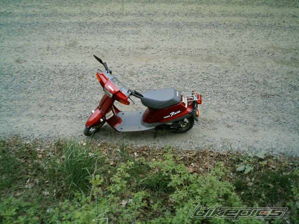1997 YAMAHA RAZZ | Picture 441864 motorcycle photo