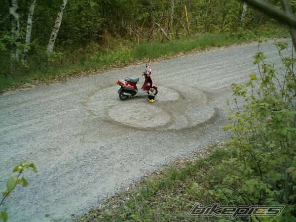 1997 YAMAHA RAZZ | Picture 441865 motorcycle photo