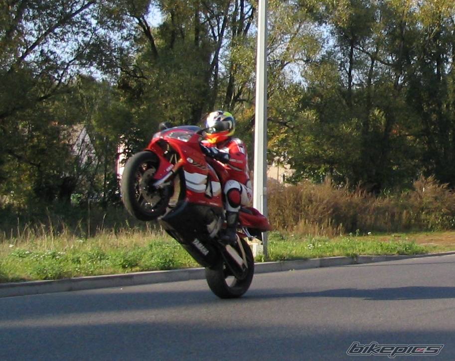 1999 YAMAHA YZF R1 | Picture 442232 motorcycle photo