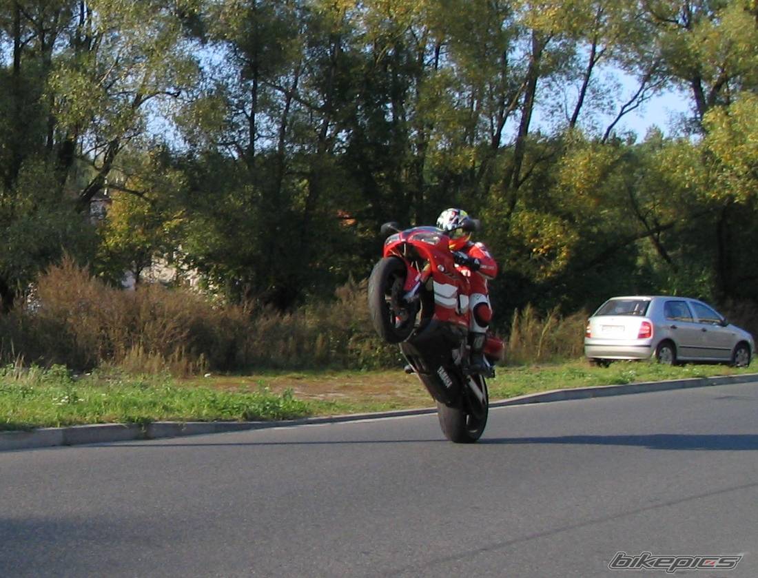 1999 YAMAHA YZF R1 | Picture 442240 motorcycle photo