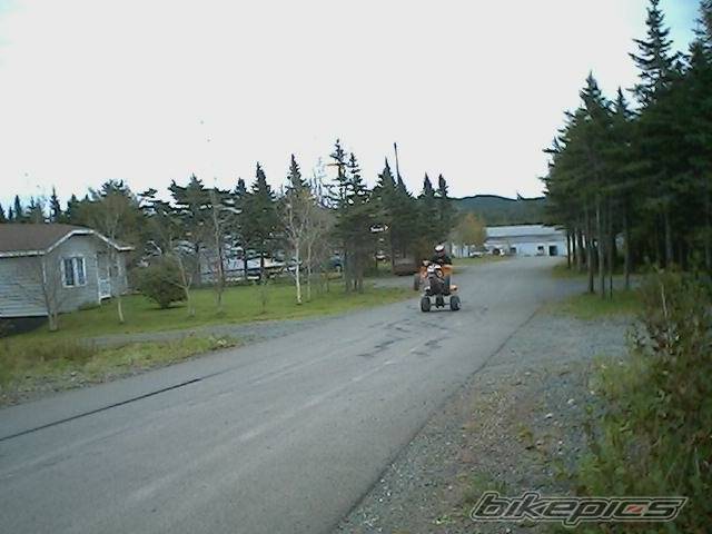 2005 POLARIS PREDATOR 500 | Picture 442369 motorcycle photo