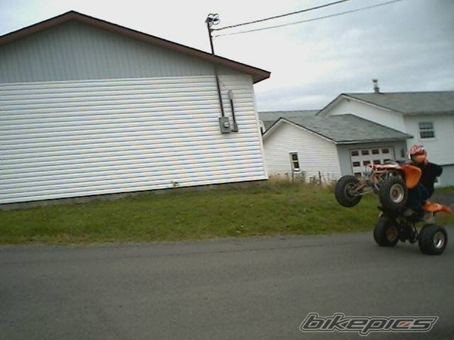 2005 POLARIS PREDATOR 500 | Picture 442384 motorcycle photo