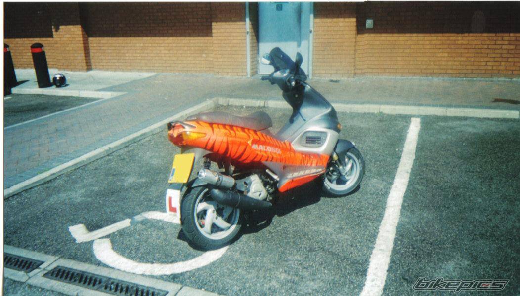 2000 GILERA RUNNER 125 SP | Picture 442452 motorcycle photo