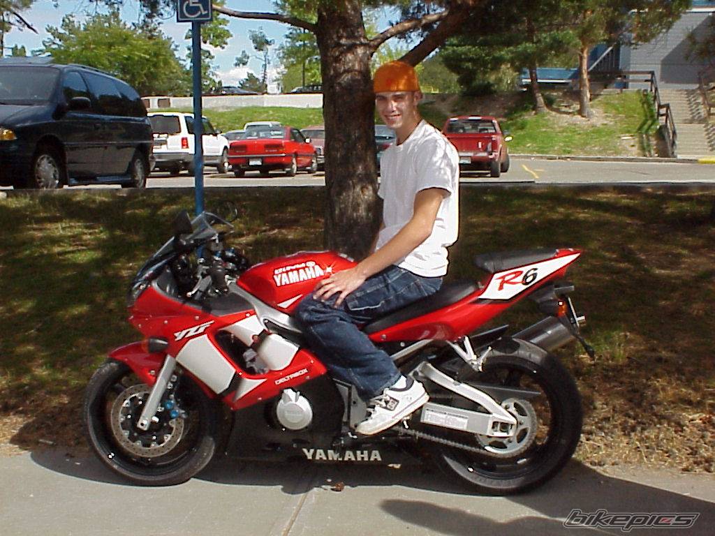 2002 YAMAHA YZF R6 | Picture 44266 motorcycle photo