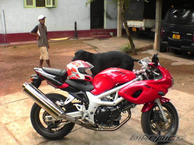 2002 SUZUKI SV 400S | Picture 442676 motorcycle photo