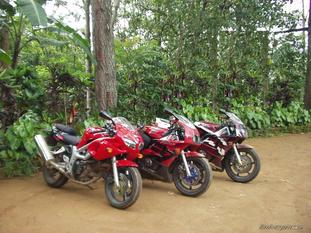 2002 SUZUKI SV 400S | Picture 442684 motorcycle photo