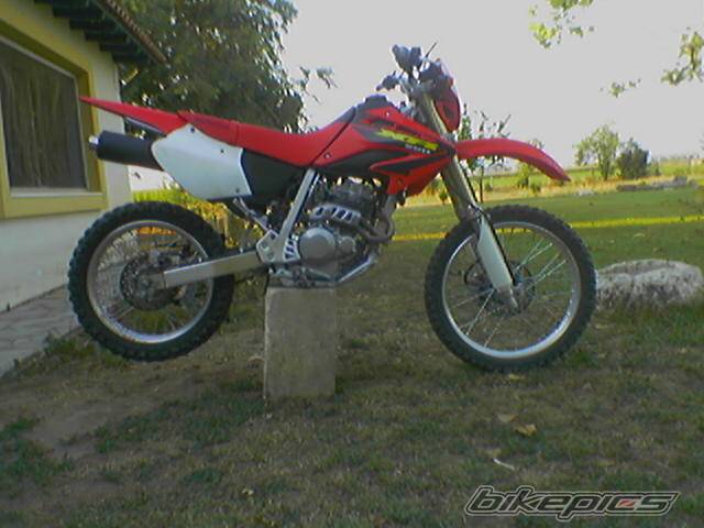 2005 HONDA XR 250 | Picture 442775 motorcycle photo