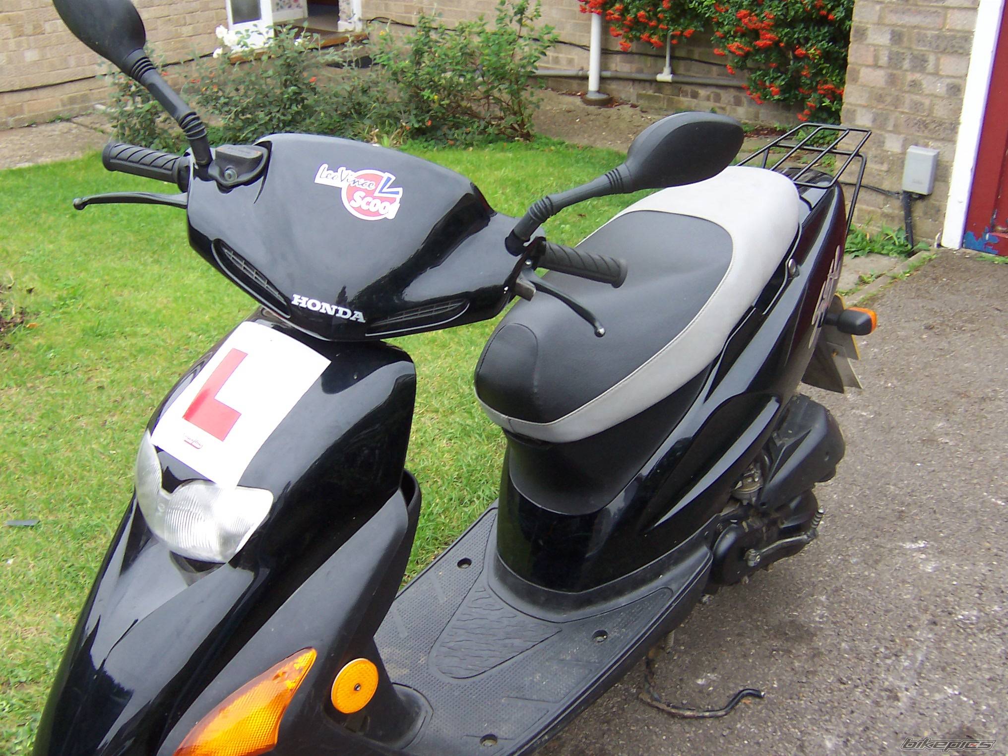 2001 HONDA SFX | Picture 442778 motorcycle photo