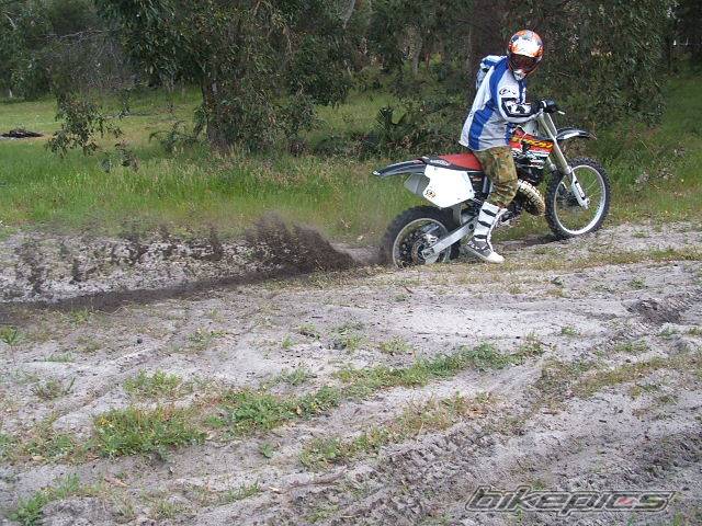 1995 HONDA CR 125 | Picture 442806 motorcycle photo