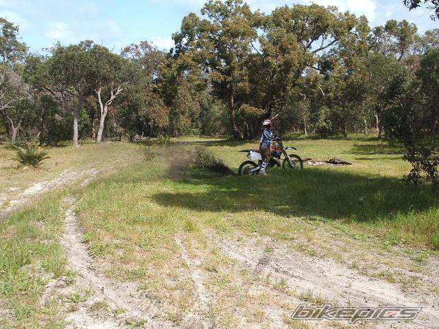 1995 HONDA CR 125 | Picture 442816 motorcycle photo