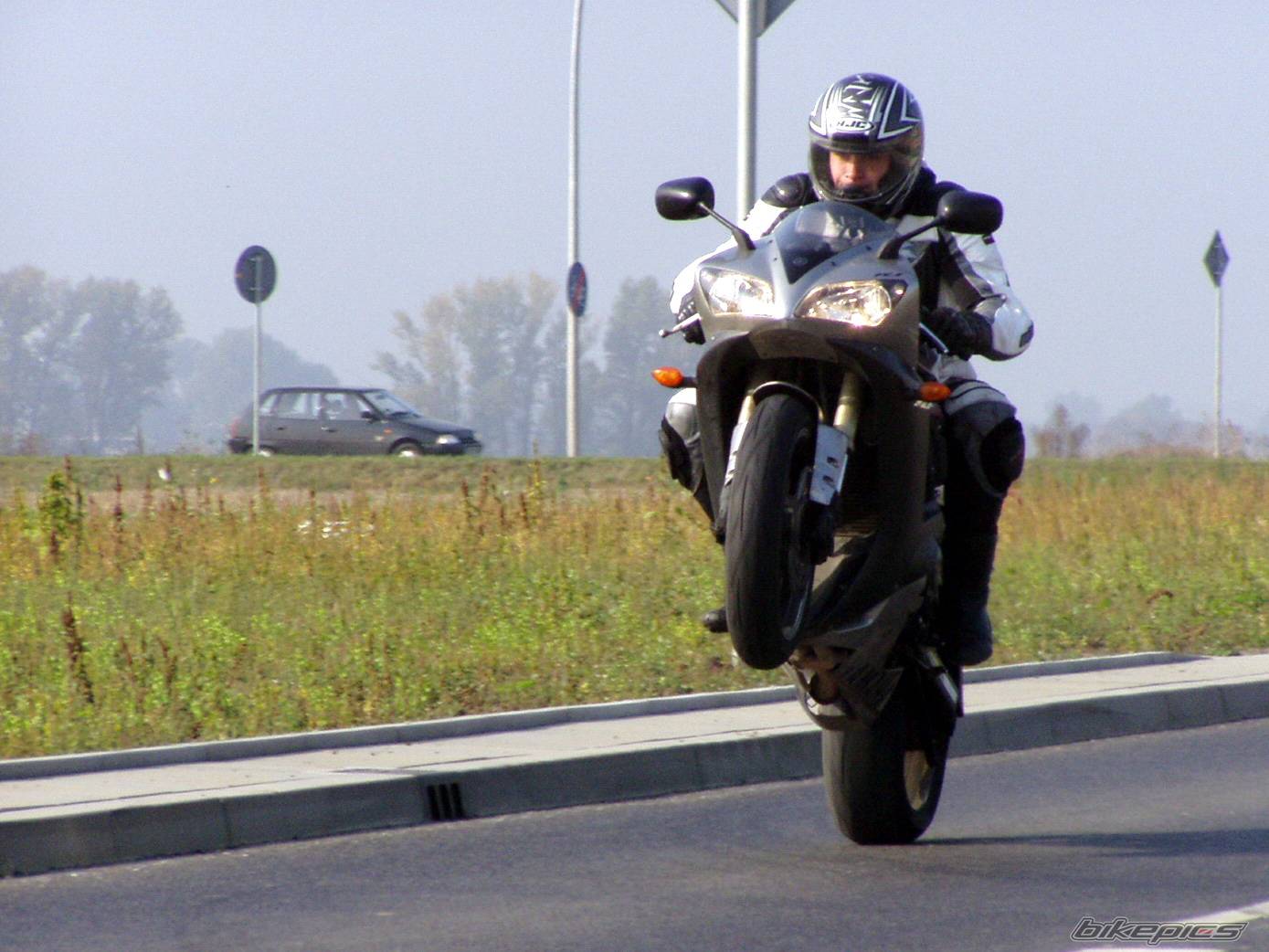 2003 YAMAHA YZF R1 | Picture 442862 motorcycle photo