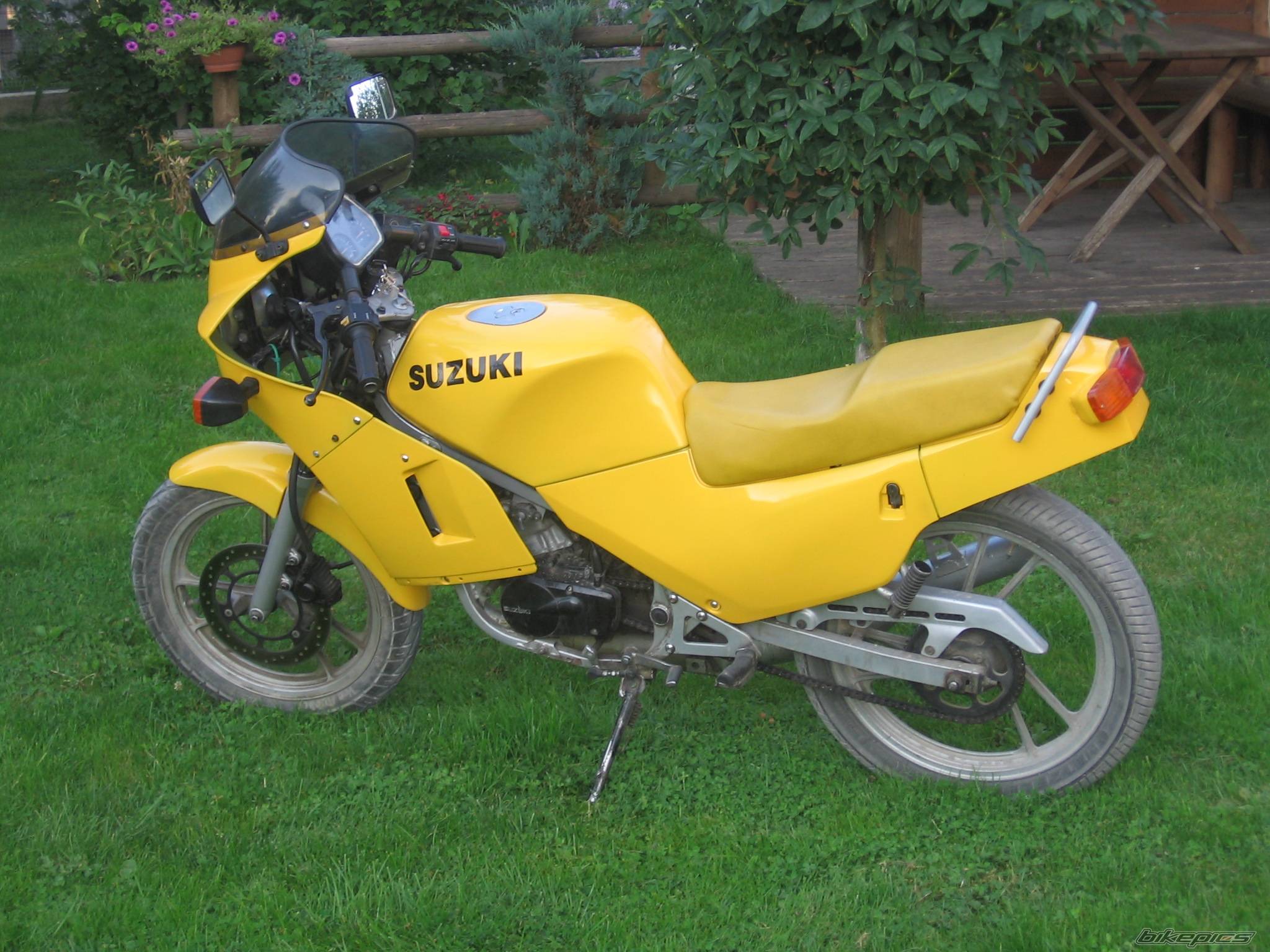 1992 SUZUKI RG 80 | Picture 443351 motorcycle photo