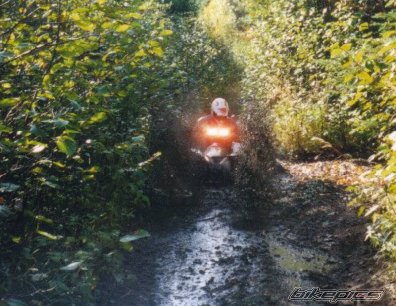 2004 POLARIS SCRAMBLER 500 | Picture 443652 motorcycle photo