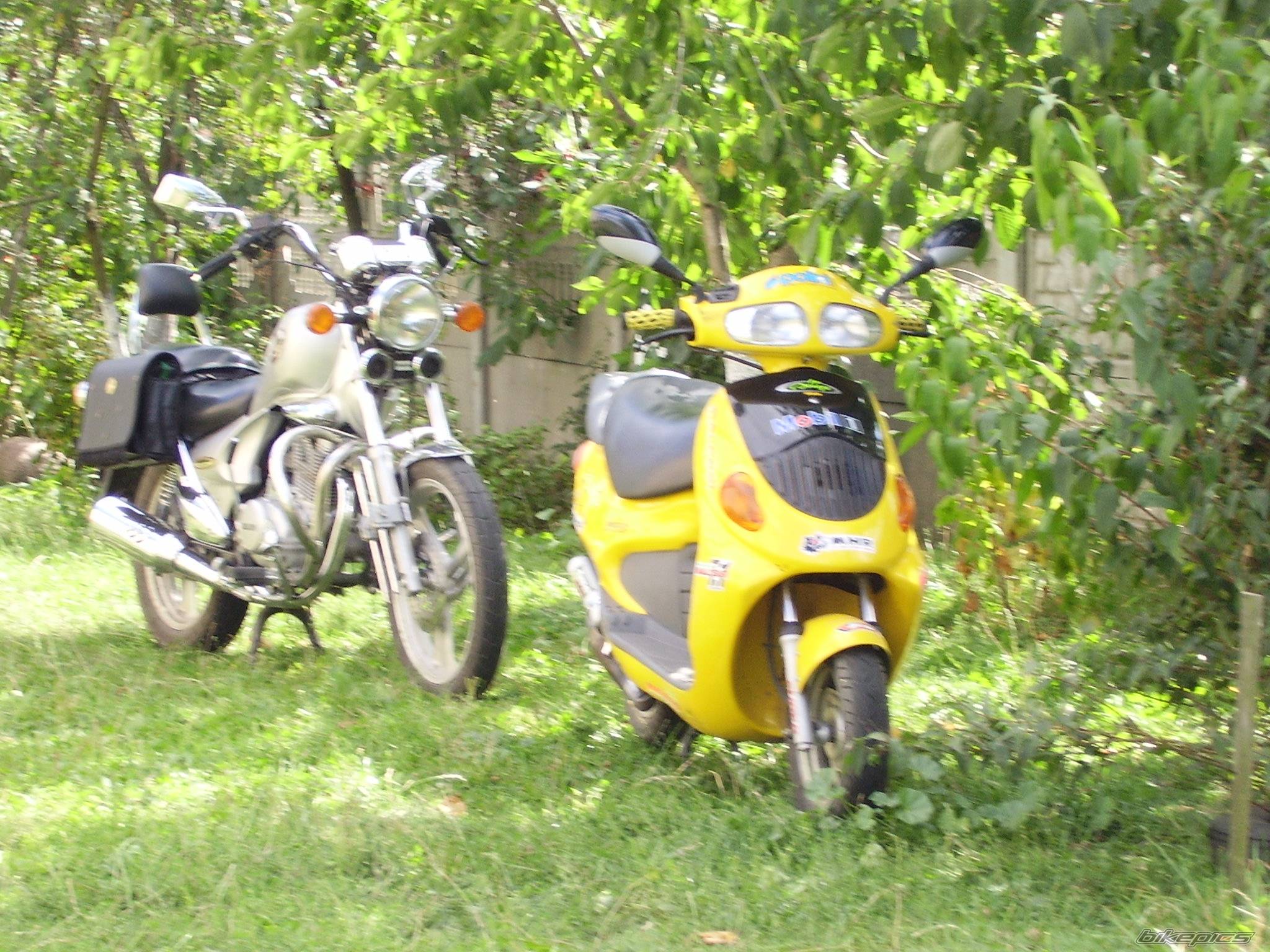 1998 DAELIM MESSAGE 50 | Picture 443943 motorcycle photo
