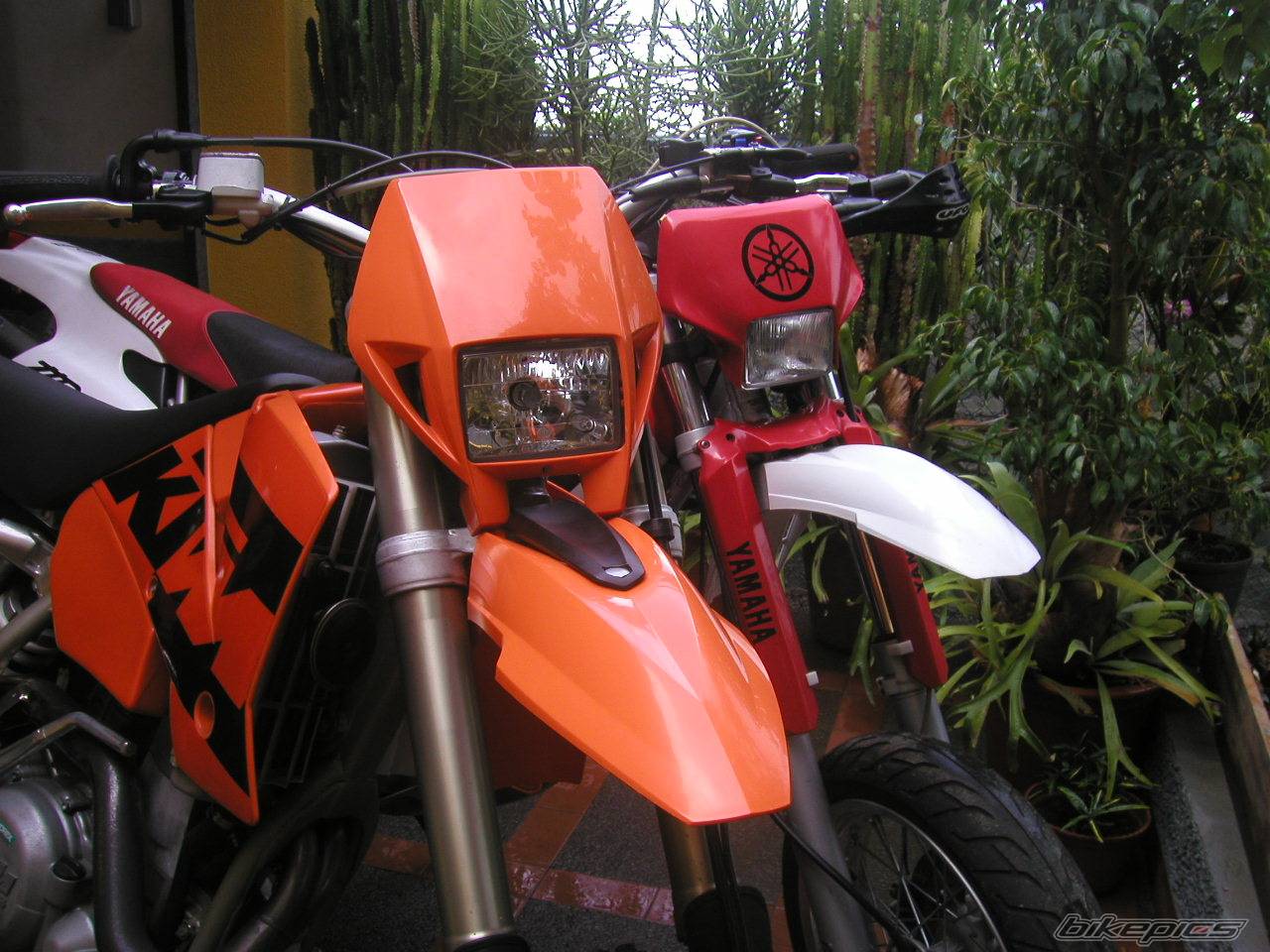2003 KTM 525 EXC | Picture 444047 motorcycle photo