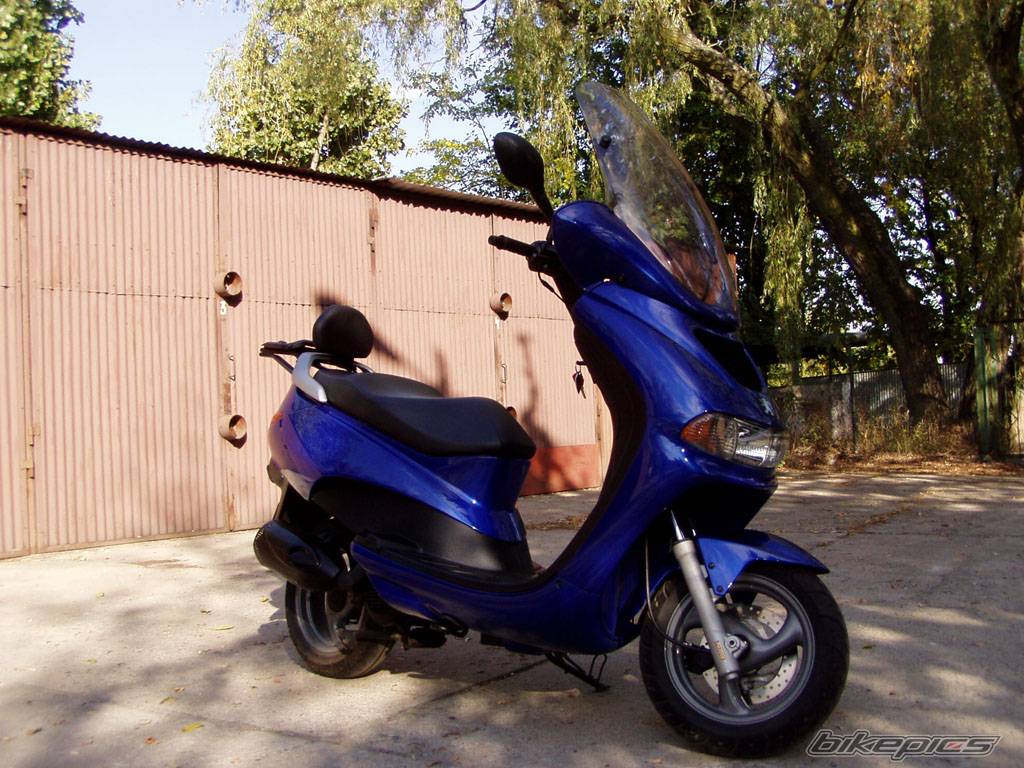 2001 PEUGEOT ELYSEO 100 | Picture 444188 motorcycle photo