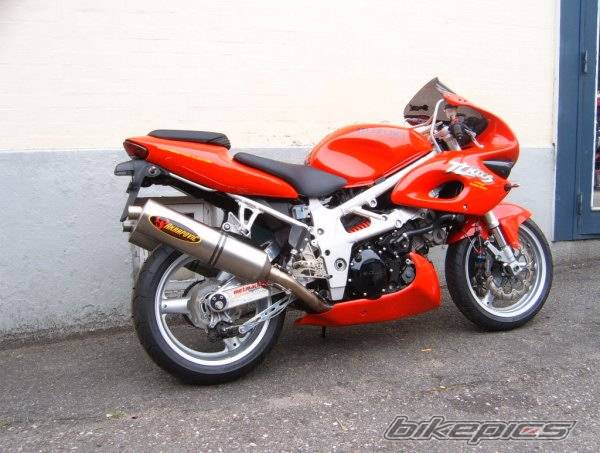 1997 SUZUKI TL1000S | Picture 444560 motorcycle photo
