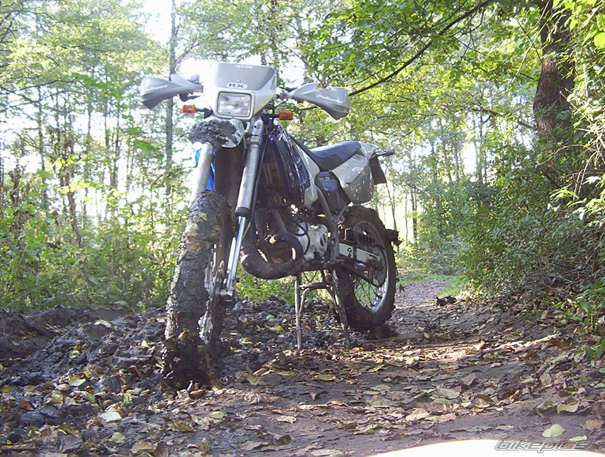 444845 | Picture 444845 motorcycle photo