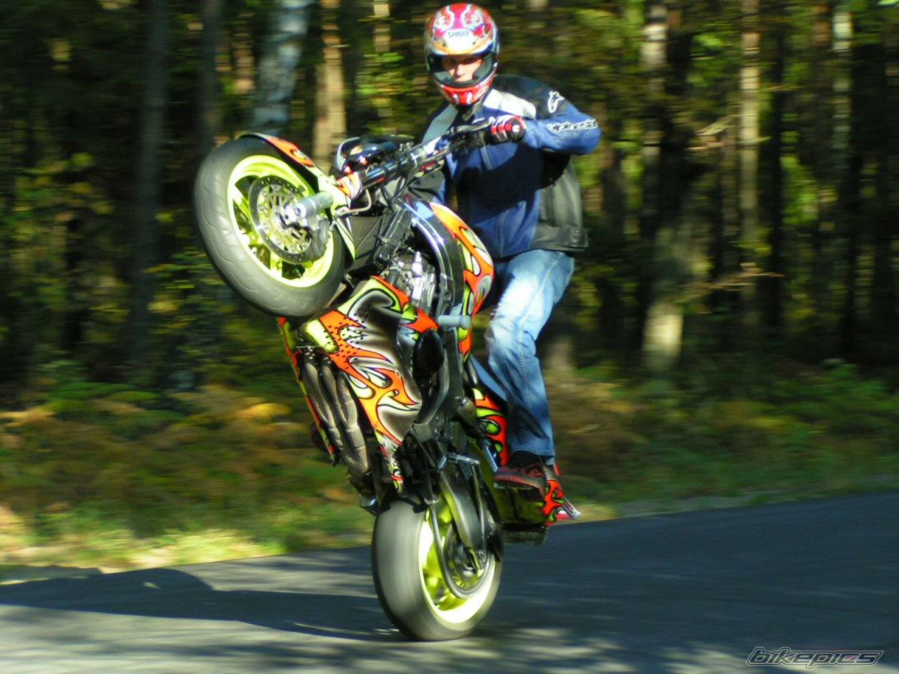 1998 HONDA CBR 900 | Picture 444846 motorcycle photo