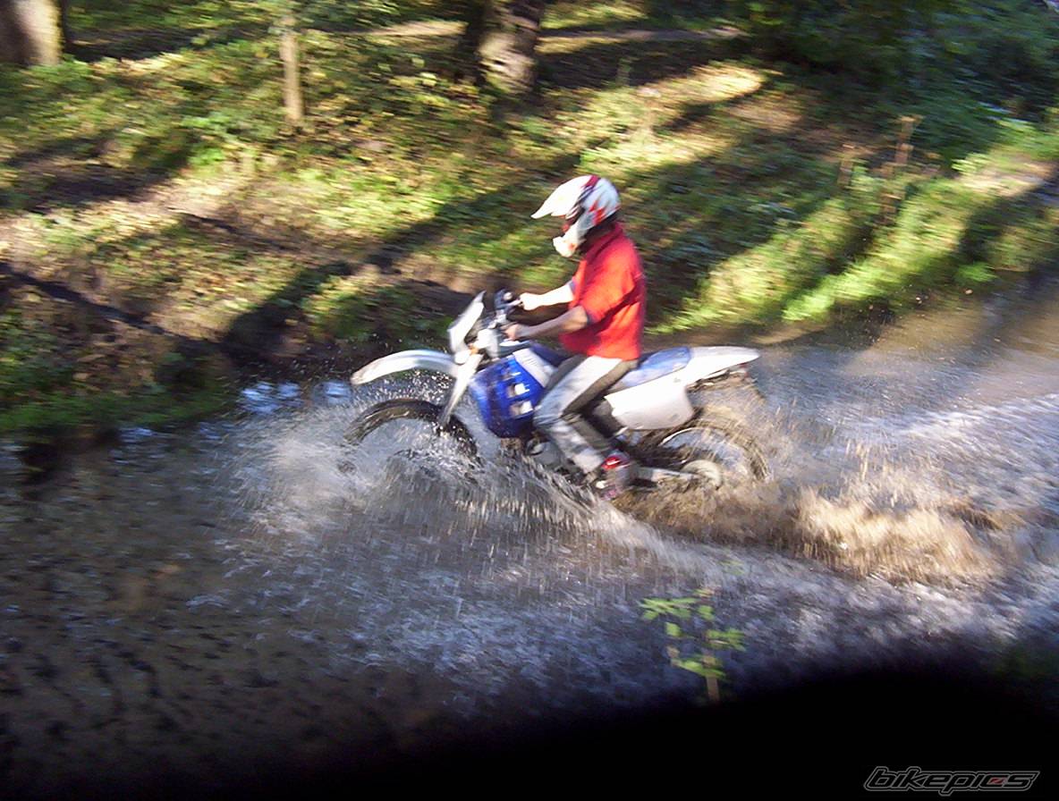 1997 APRILIA RX 50 | Picture 444849 motorcycle photo