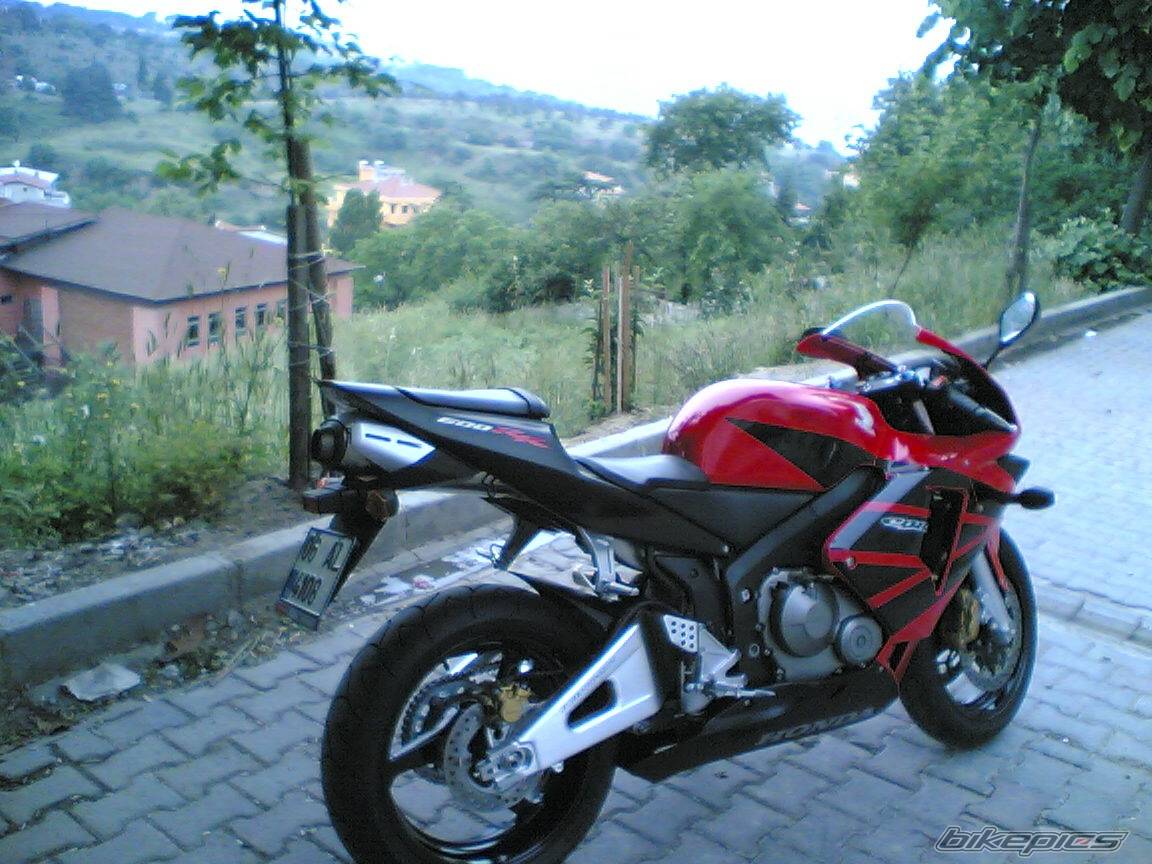 2004 HONDA CBR 600 RR | Picture 444914 motorcycle photo