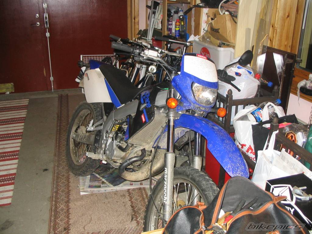 2005 DERBI SENDA XRACE SM 50 | Picture 445030 motorcycle photo