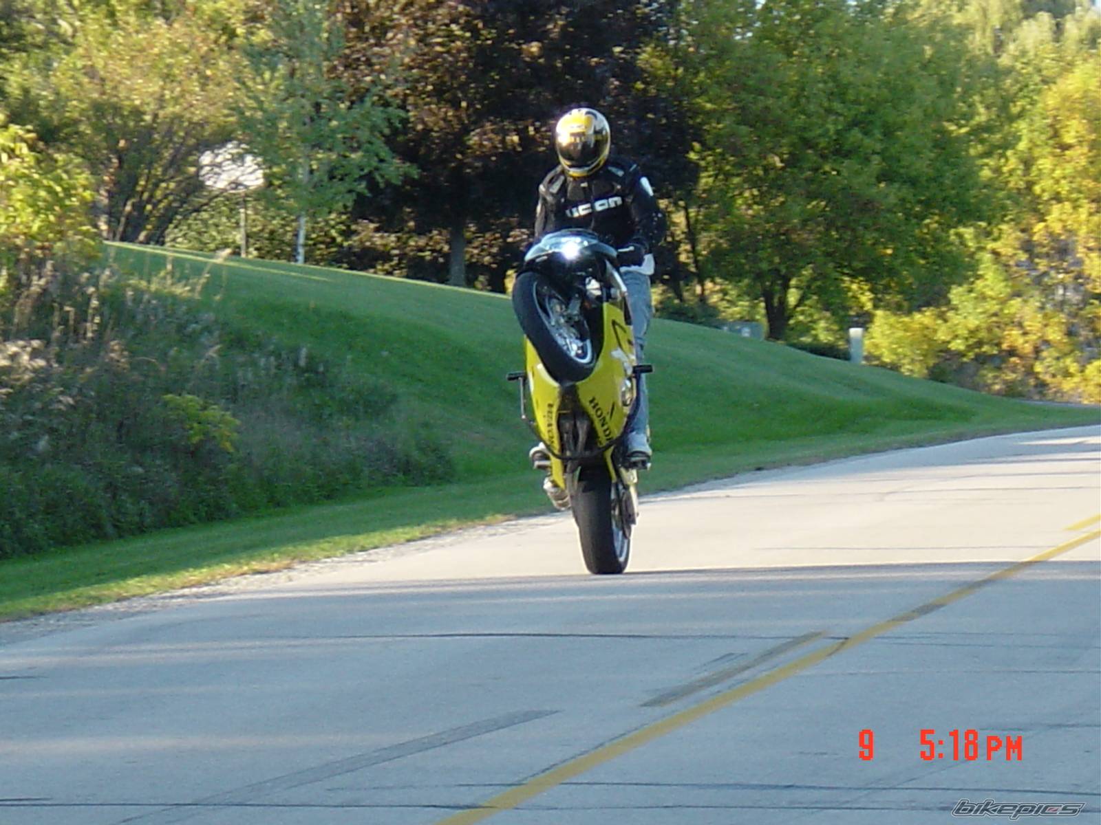 1999 HONDA CBR 600 | Picture 445233 motorcycle photo