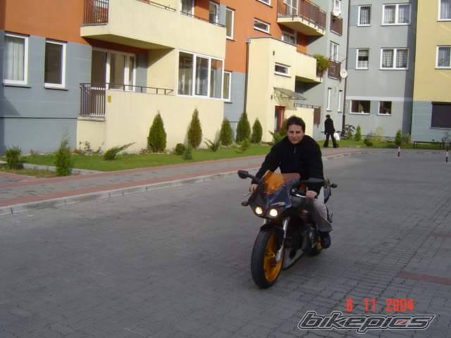 2004 BUELL XB12R FIREBLOT | Picture 445284 motorcycle photo