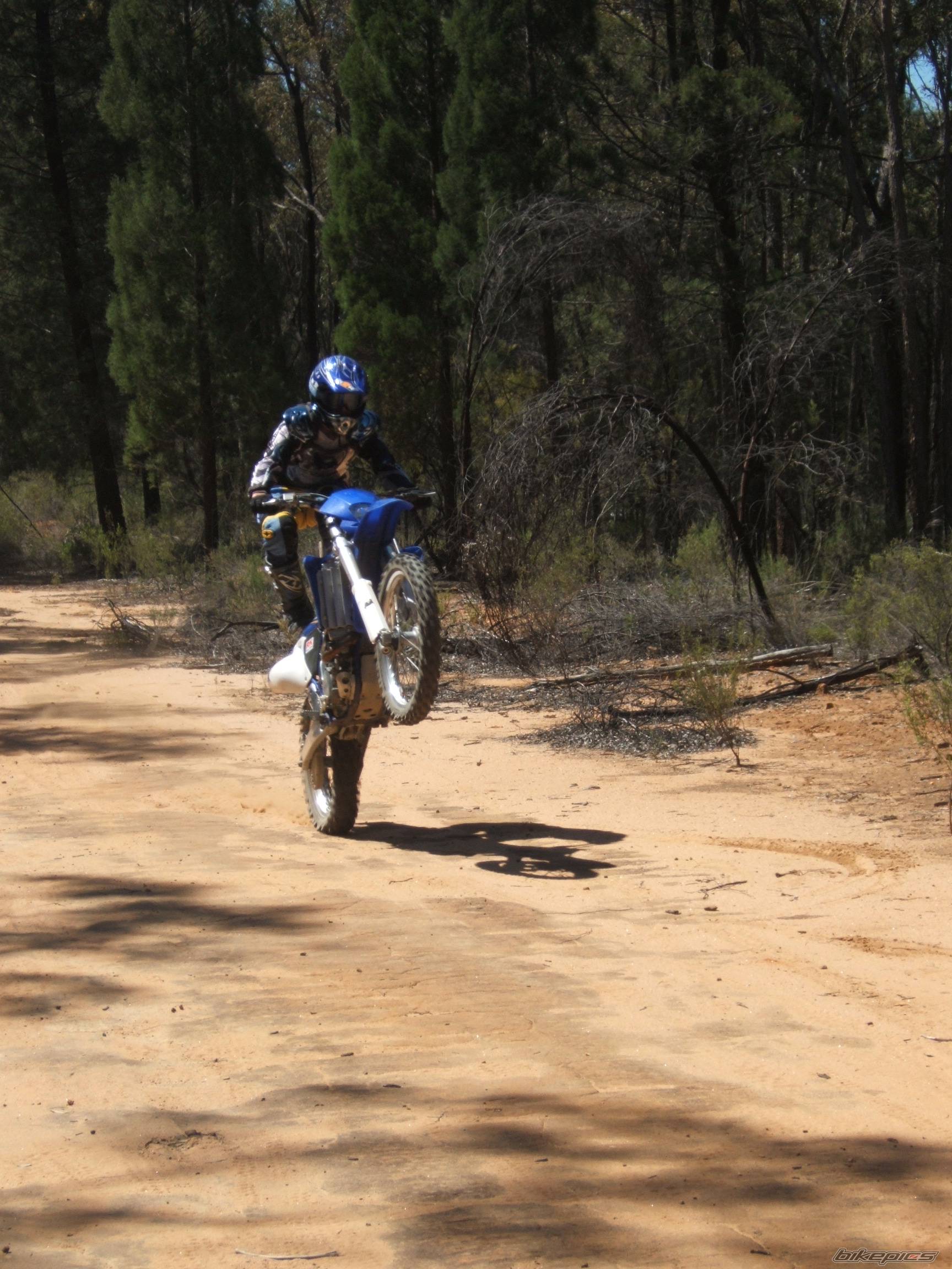 2001 YAMAHA WR 426F | Picture 445764 motorcycle photo