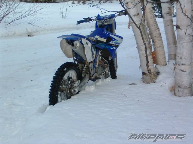 1999 YAMAHA YZ 426F | Picture 44629 motorcycle photo