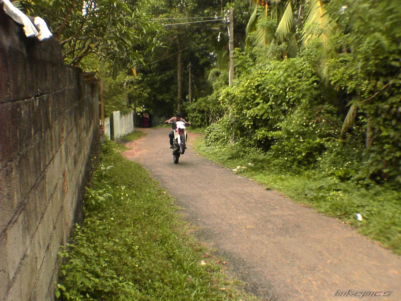 2002 YAMAHA WR 200 | Picture 446470 motorcycle photo