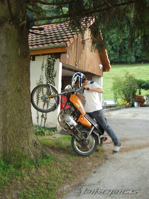 1981 HONDA CG 125 | Picture 446551 motorcycle photo