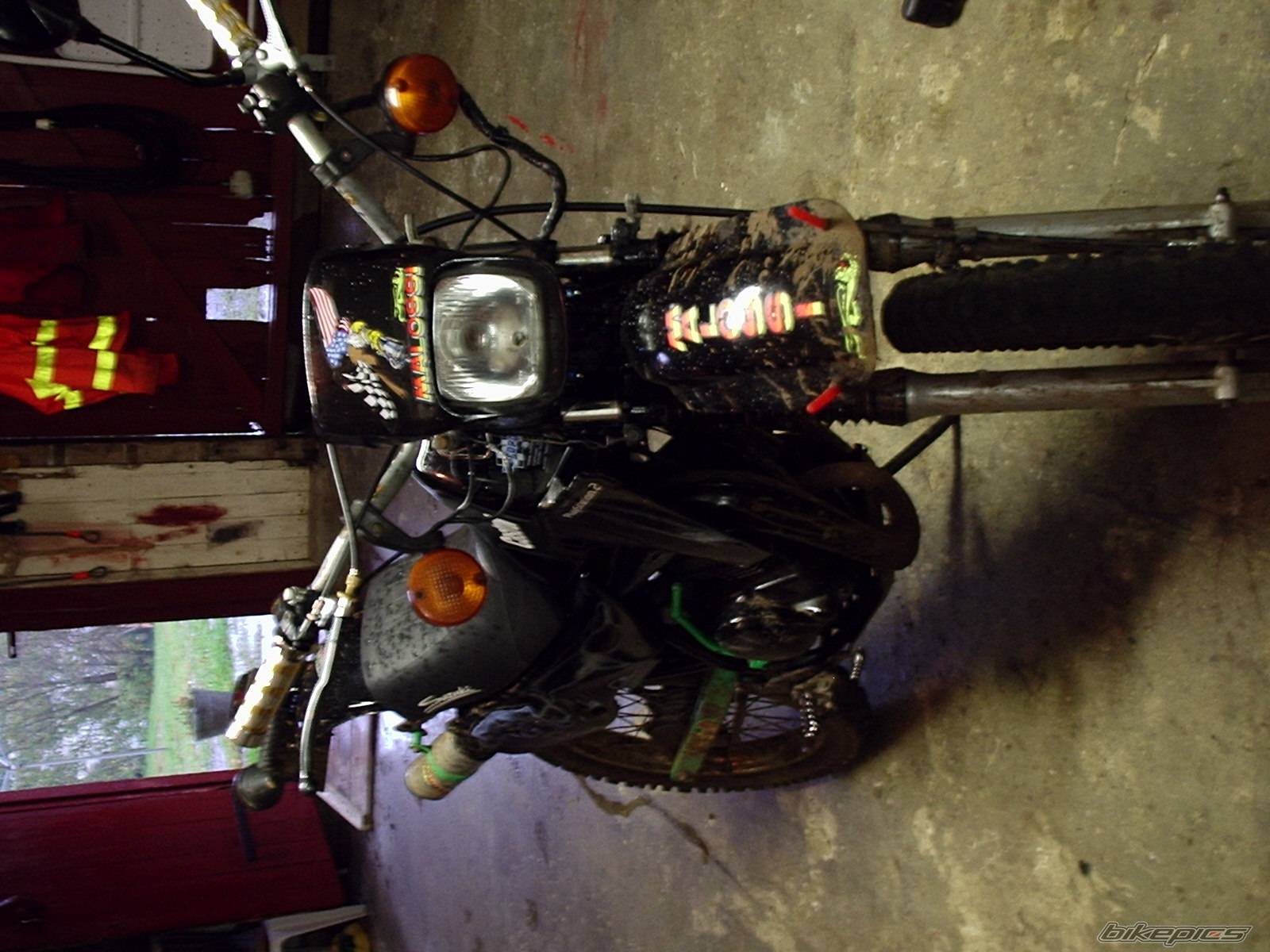 1996 SUZUKI TS 50 | Picture 446609 motorcycle photo