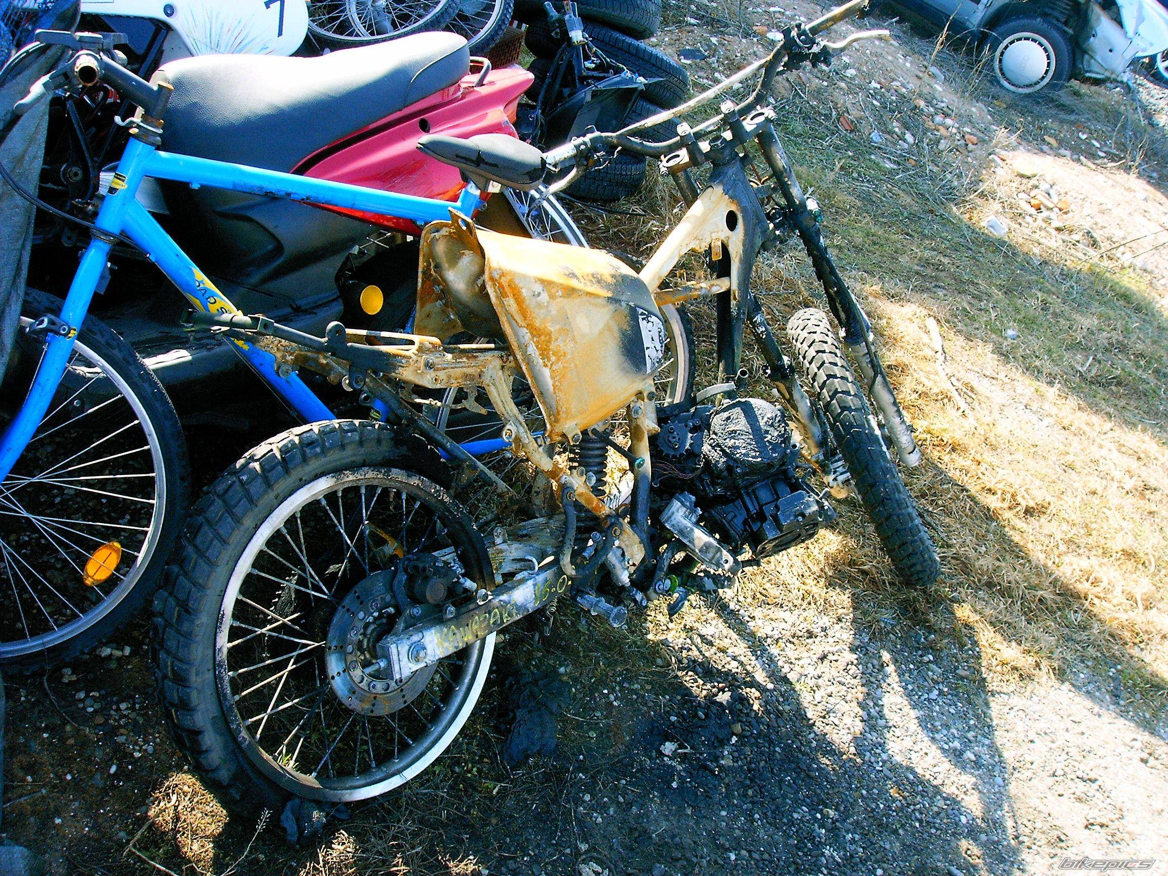 1999 KAWASAKI KMX 125 | Picture 446639 motorcycle photo