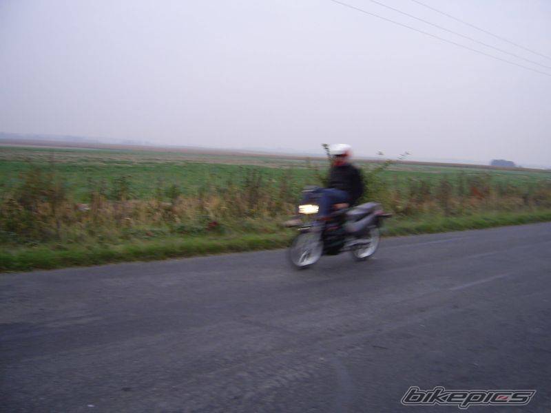 1994 SUZUKI RG 80 | Picture 446663 motorcycle photo
