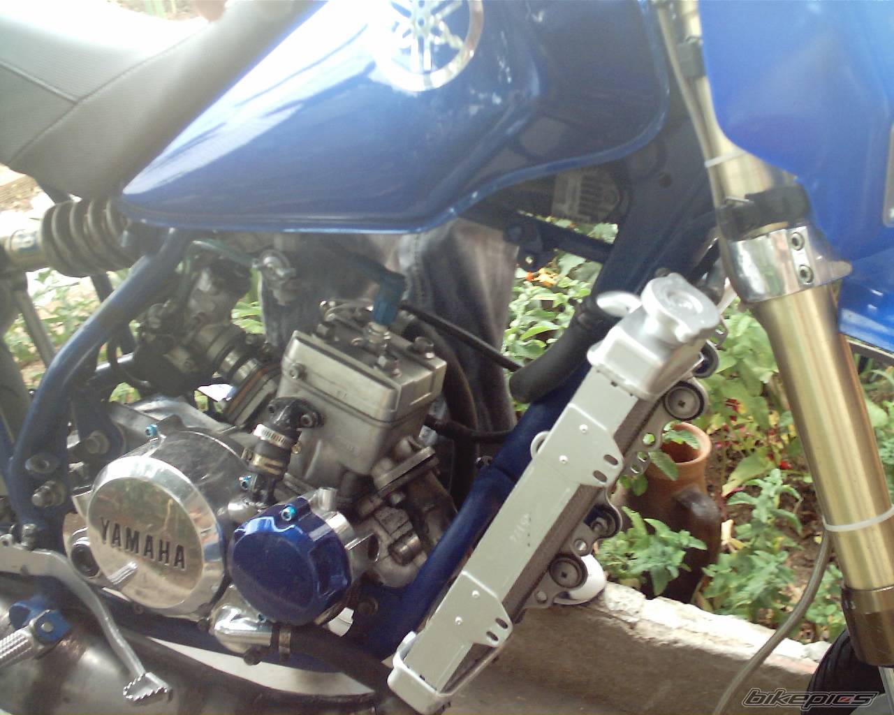 2005 YAMAHA DT 50 | Picture 446797 motorcycle photo