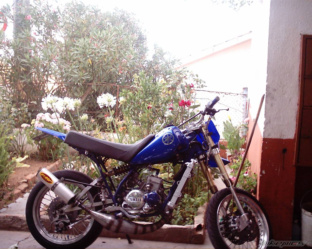 2005 YAMAHA DT 50 | Picture 446808 motorcycle photo