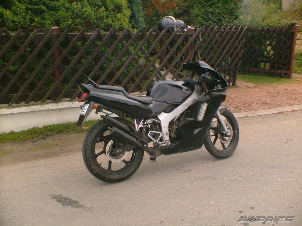 1996 HONDA NS1 80 | Picture 446871 motorcycle photo
