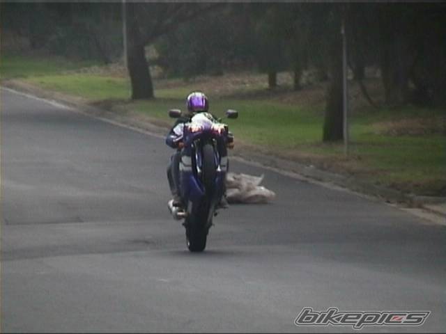 2000 YAMAHA YZF R1 | Picture 4472 motorcycle photo