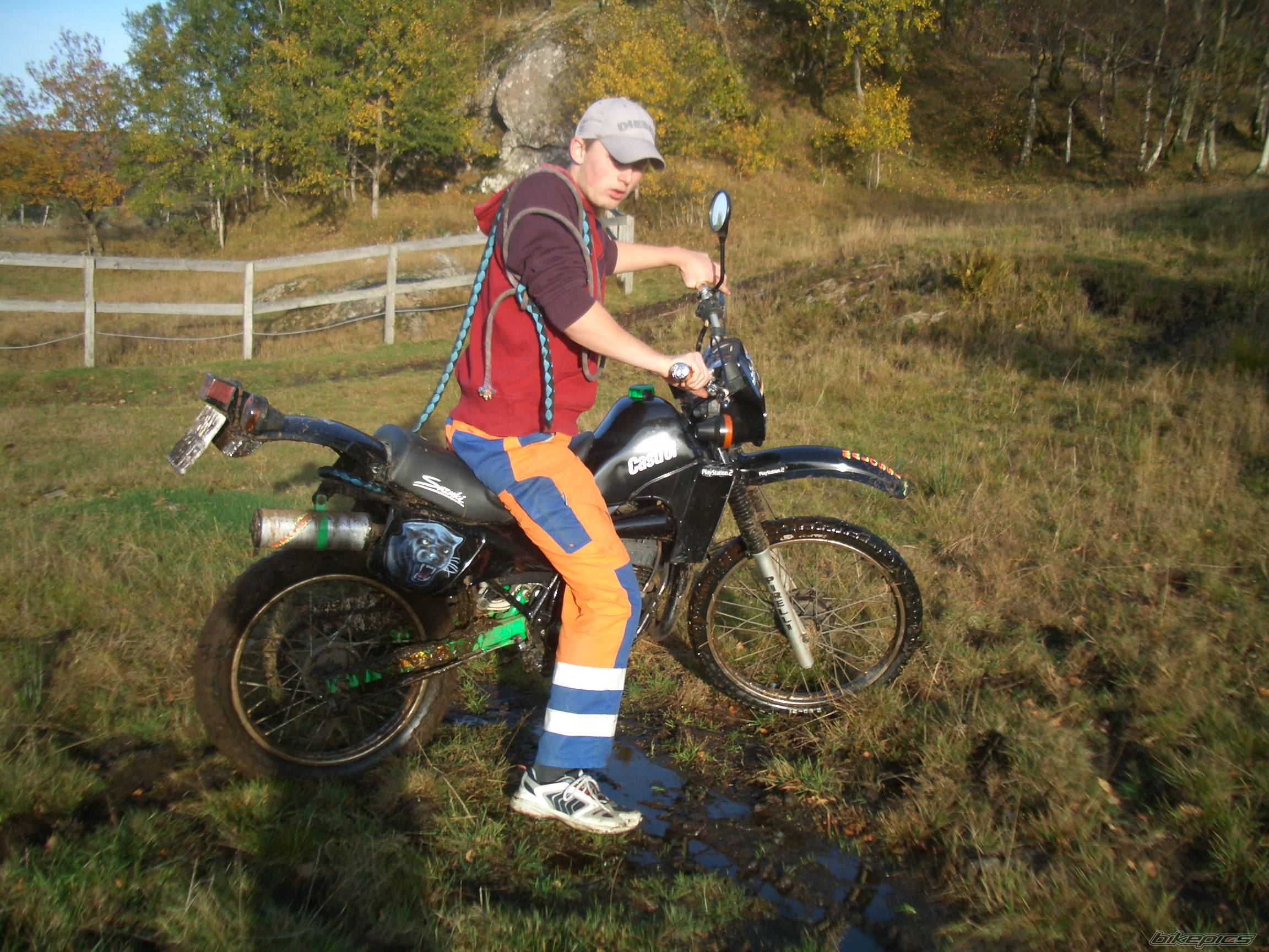 1996 SUZUKI TS 50 | Picture 447440 motorcycle photo