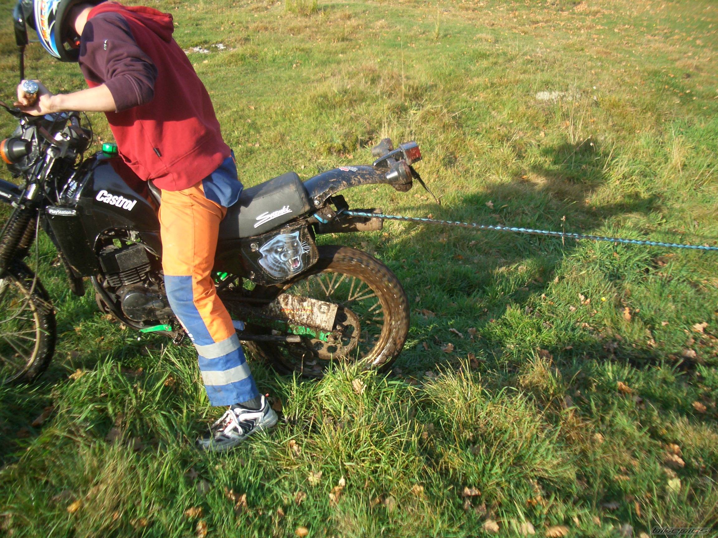 1996 SUZUKI TS 50 | Picture 447446 motorcycle photo