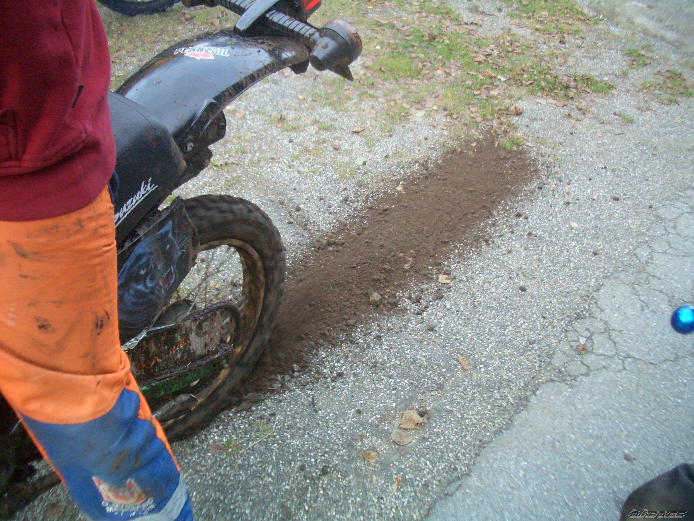 1996 SUZUKI TS 50 | Picture 447449 motorcycle photo