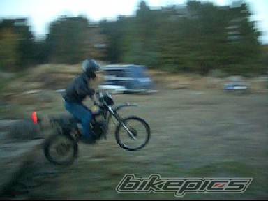 1997 SUZUKI TS 50 | Picture 447503 motorcycle photo