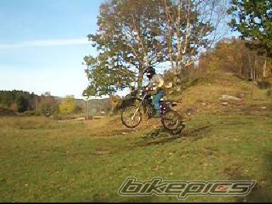 1997 SUZUKI TS 50 | Picture 447505 motorcycle photo