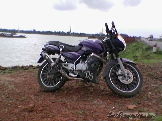 2004 BAJAJ PULSAR 150 | Picture 447710 motorcycle photo