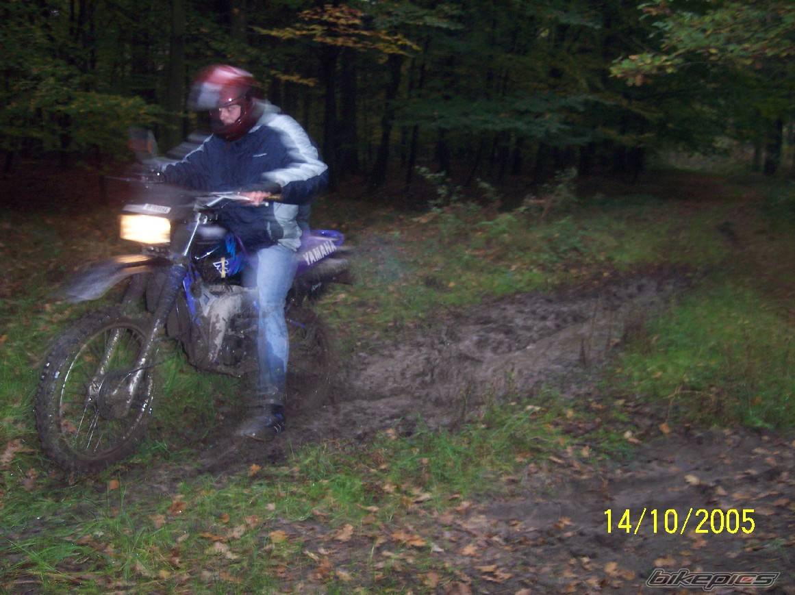 1993 YAMAHA DT 80 | Picture 447786 motorcycle photo