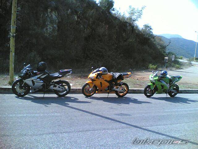 2005 HONDA CBR 600 | Picture 447821 motorcycle photo