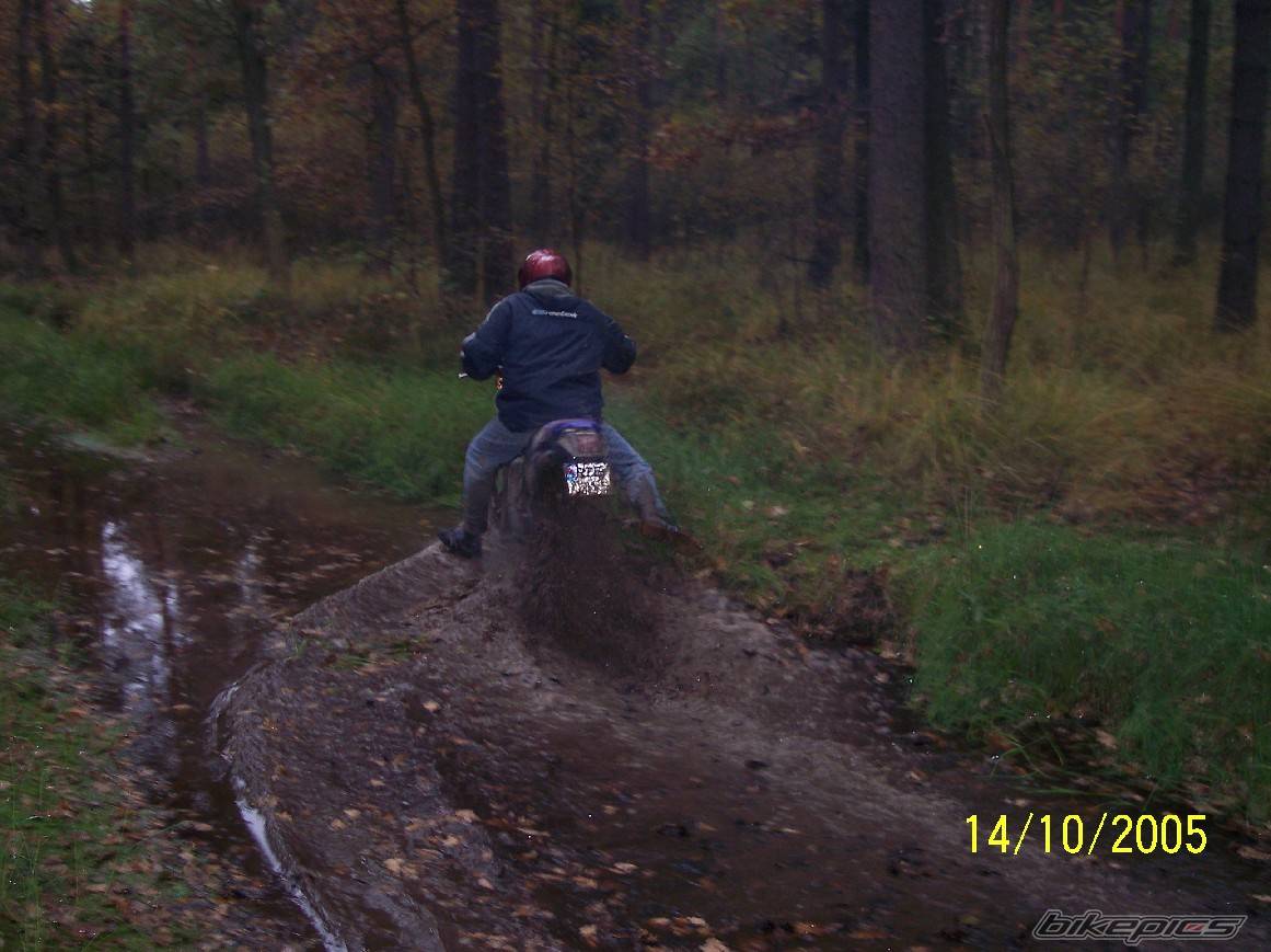 1993 YAMAHA DT 80 | Picture 447882 motorcycle photo