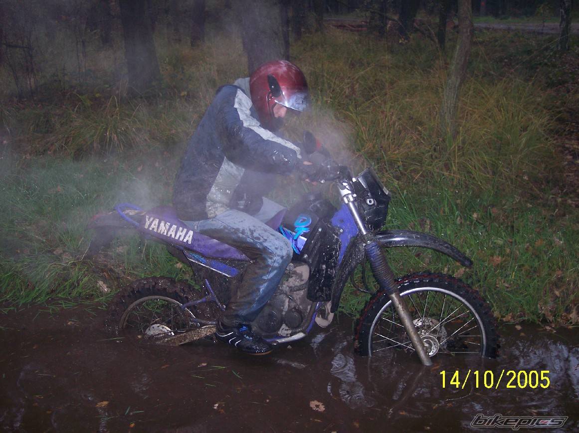 1993 YAMAHA DT 80 | Picture 447886 motorcycle photo