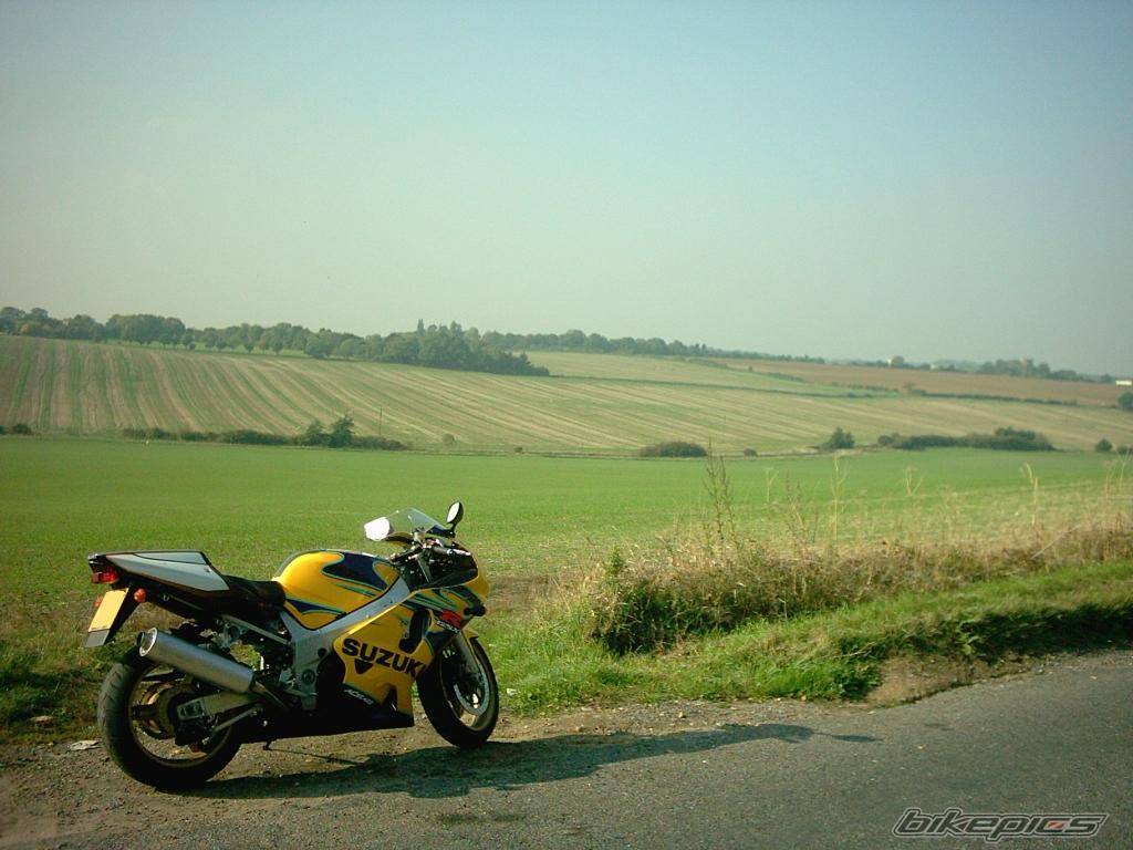2003 SUZUKI GSX R 600 | Picture 447923 motorcycle photo